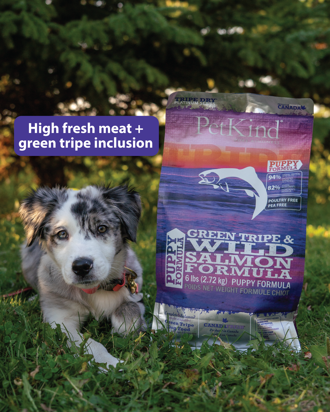 Tripe Dry – Puppy Formula