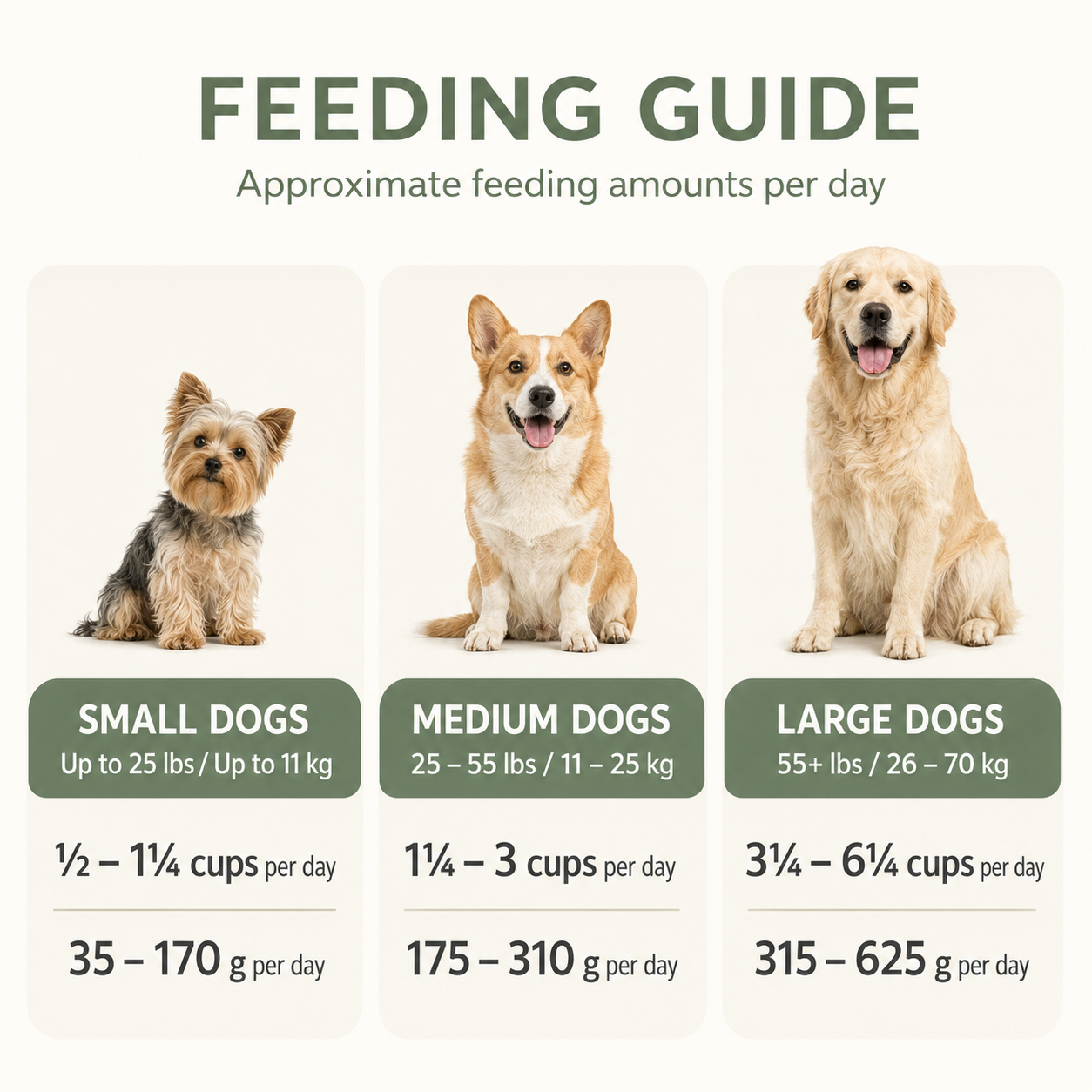 Tripe Dry Feeding Guide