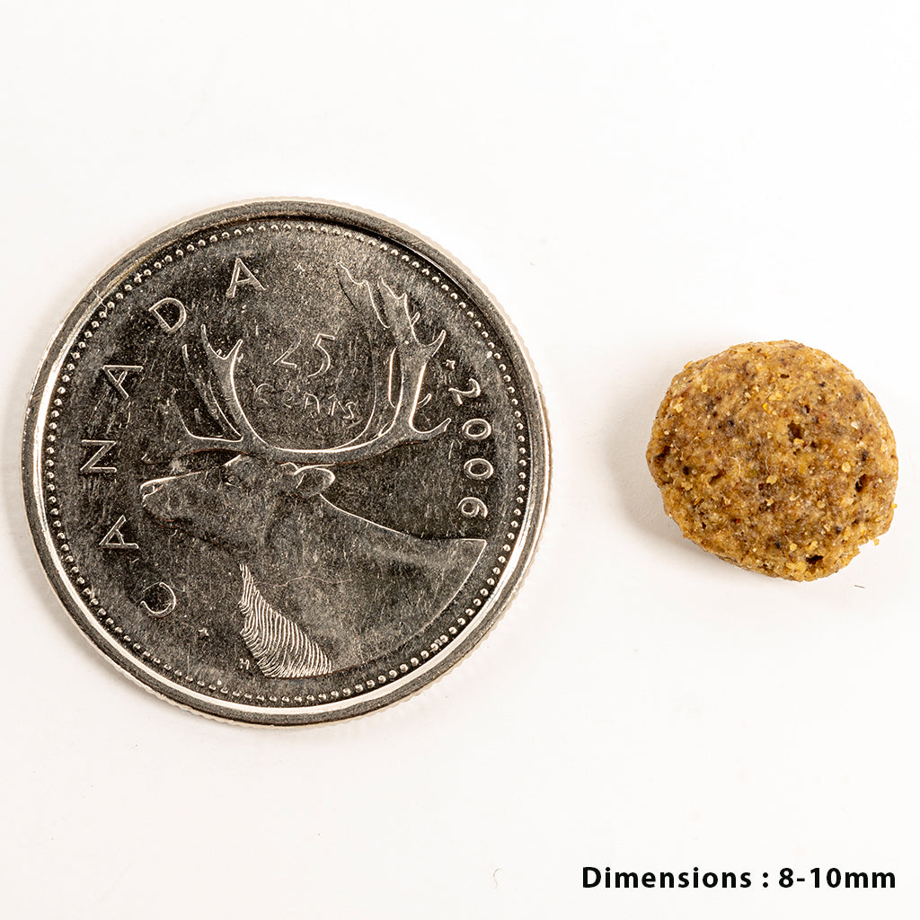 Tripe Dry – Single Animal Protein Lamb & Lamb Tripe Formula Weight Management