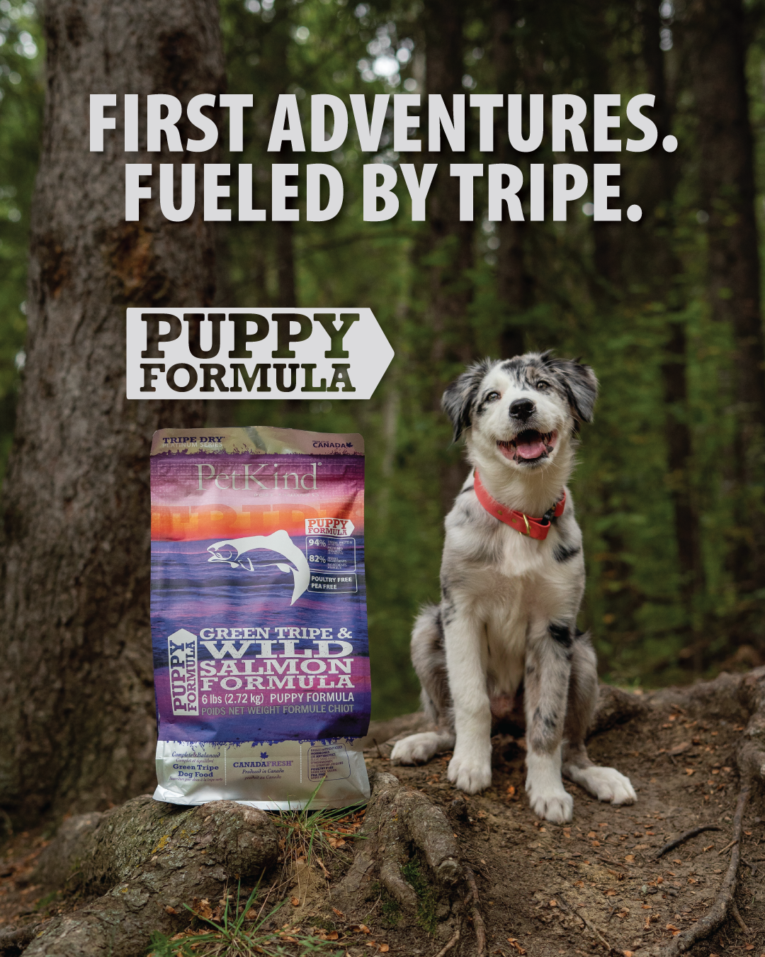 Tripe Dry – Puppy Formula