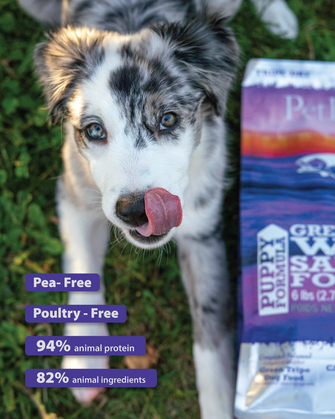 Tripe Dry – Puppy Formula