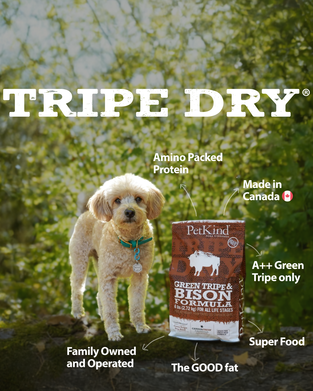 Tripe Dry – Green Tripe & Bison Formula