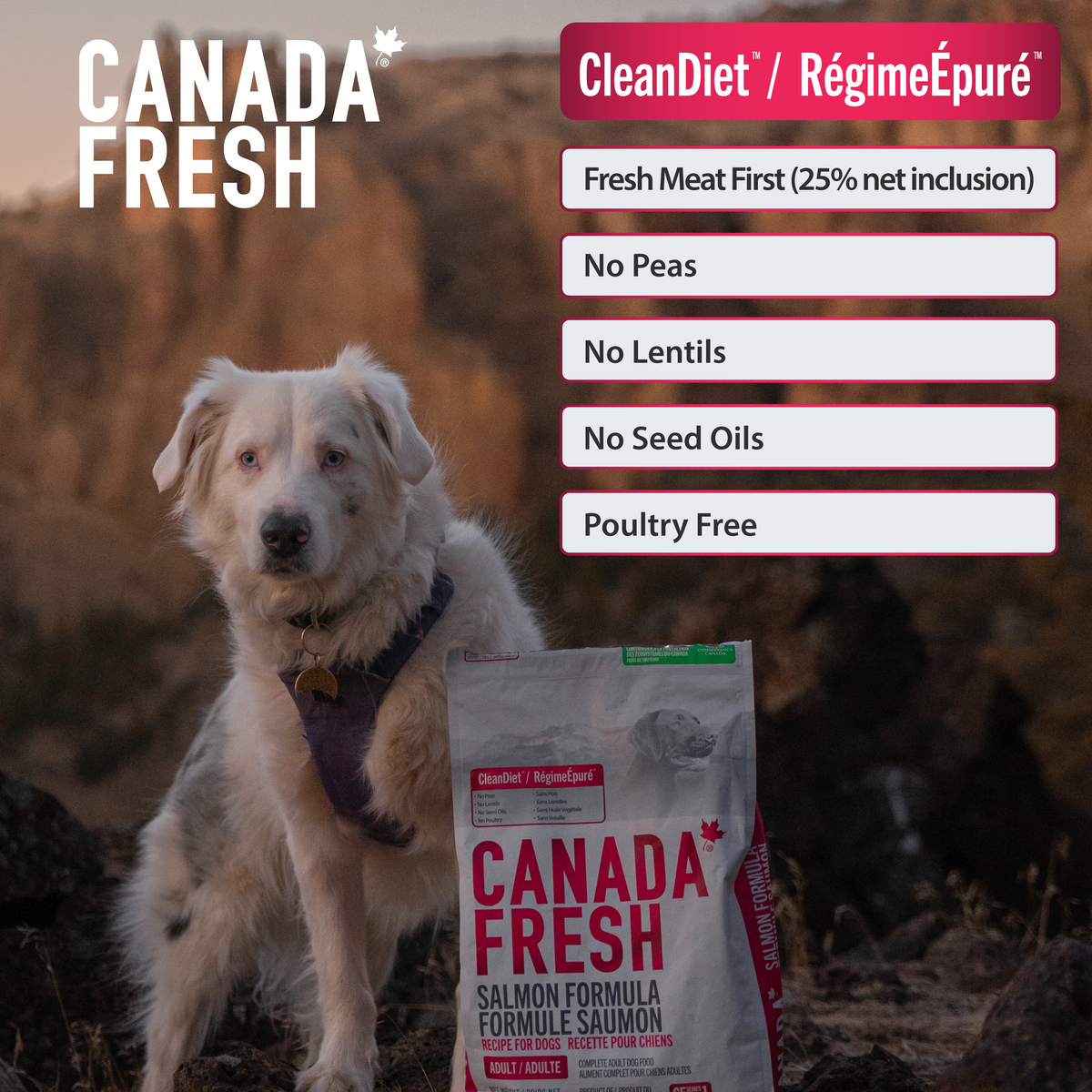 CF1 CANADA FRESH - DOG -  SALMON