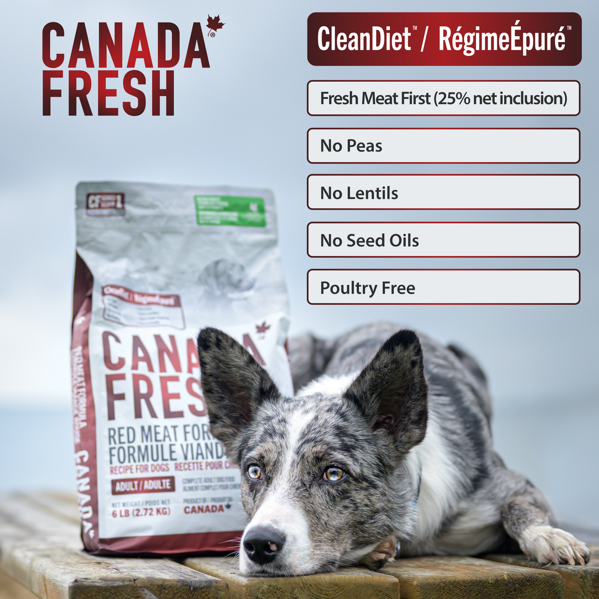 CF1 CANADA FRESH - DOG -  RED MEAT