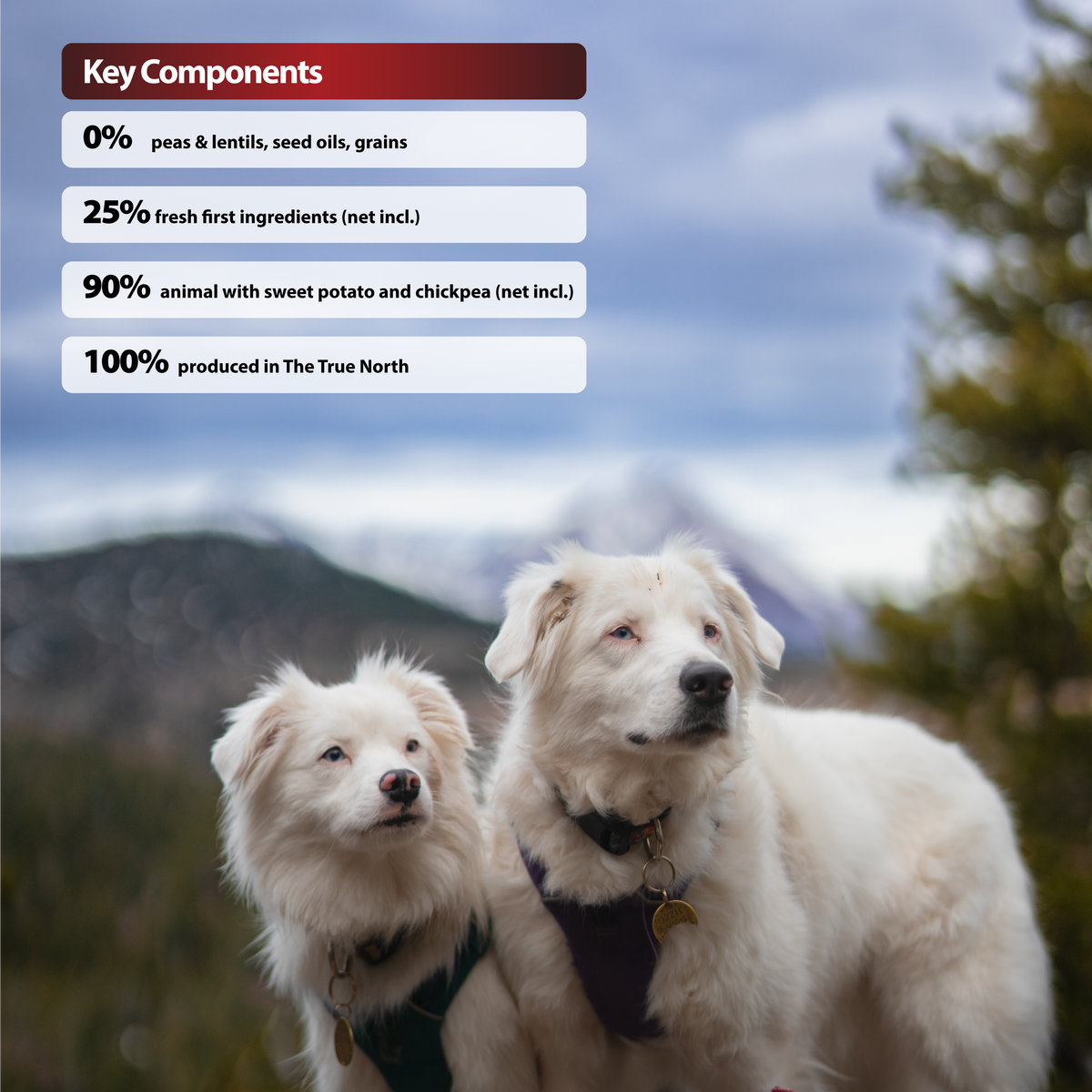 CF1 CANADA FRESH - DOG -  RED MEAT