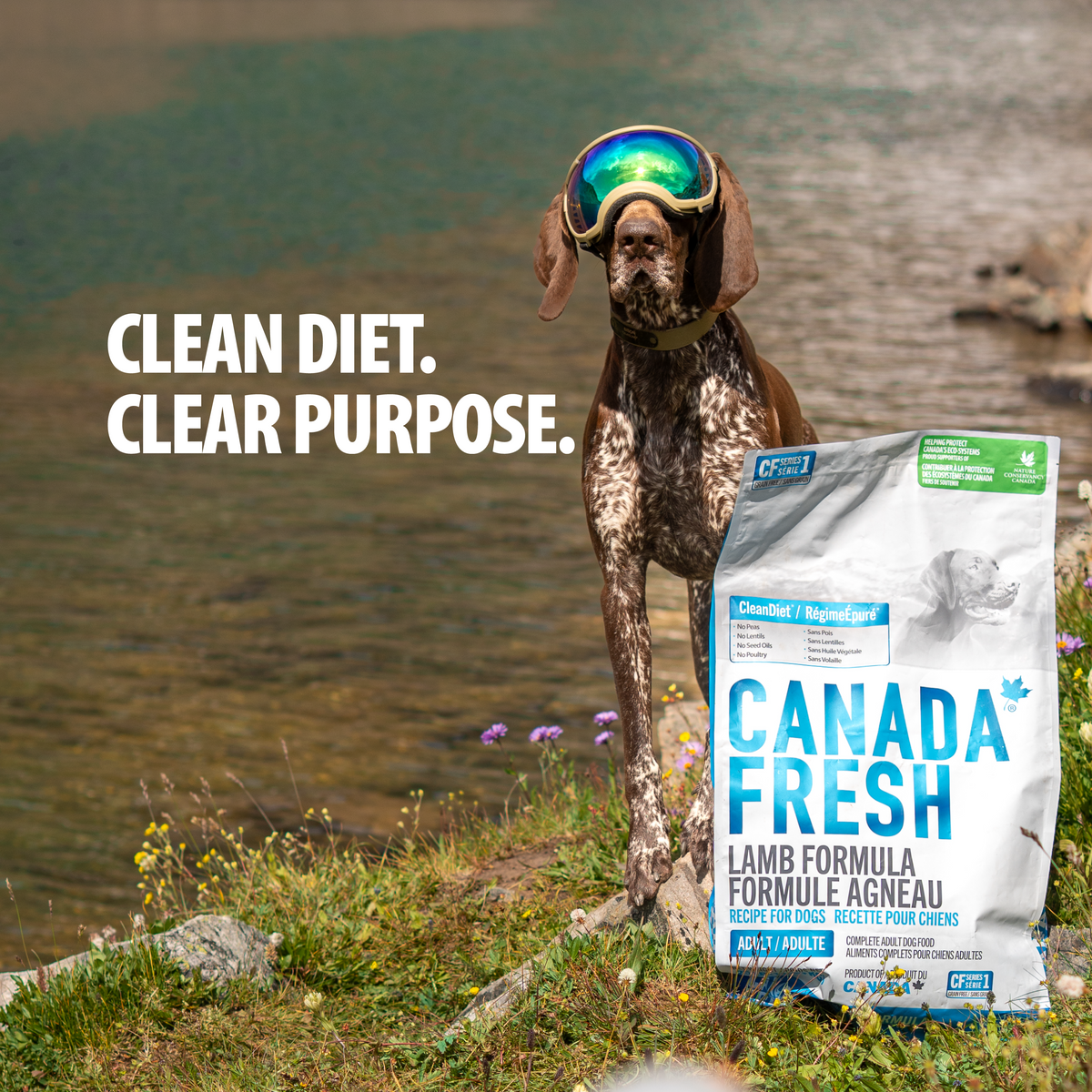 CF1 CANADA FRESH - DOG -  LAMB