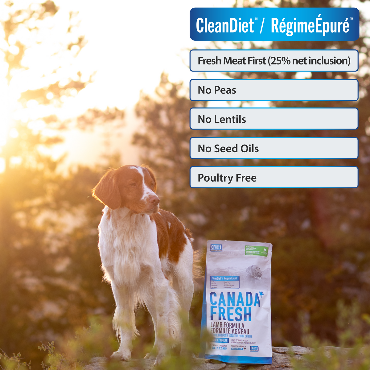 CF1 CANADA FRESH - DOG -  LAMB