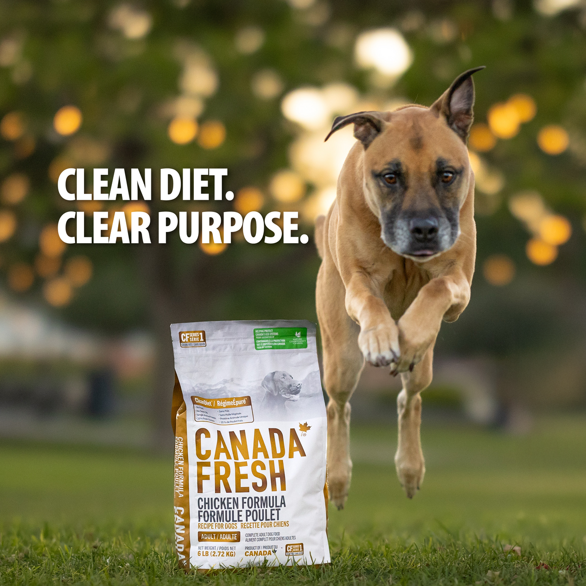 CF1 CANADA FRESH - DOG -  CHICKEN