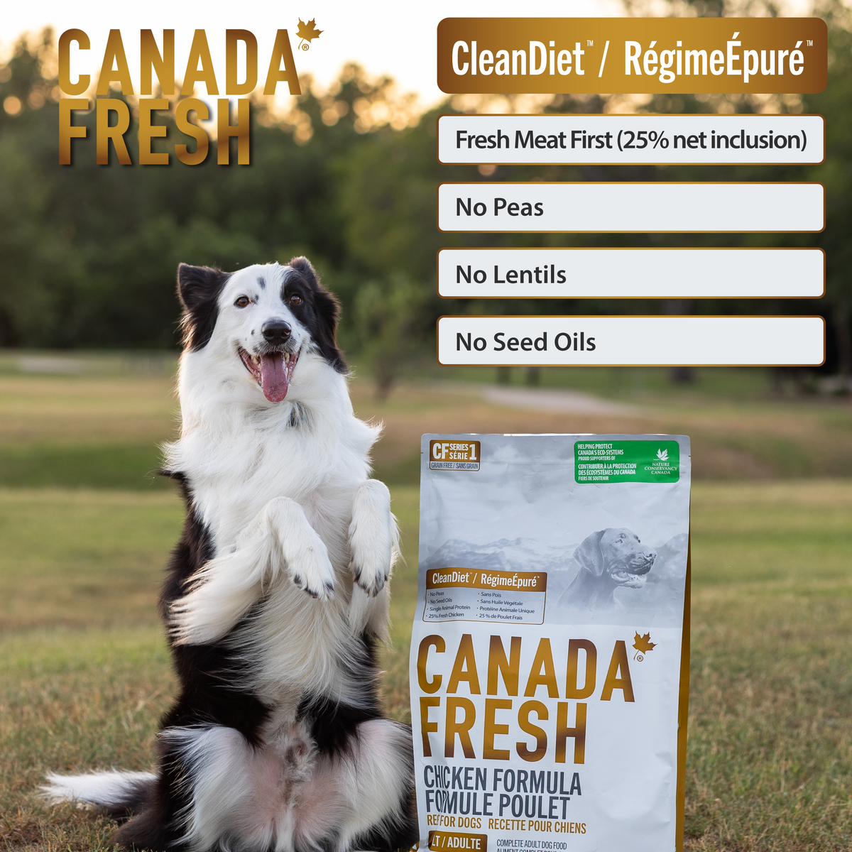 CF1 CANADA FRESH - DOG -  CHICKEN