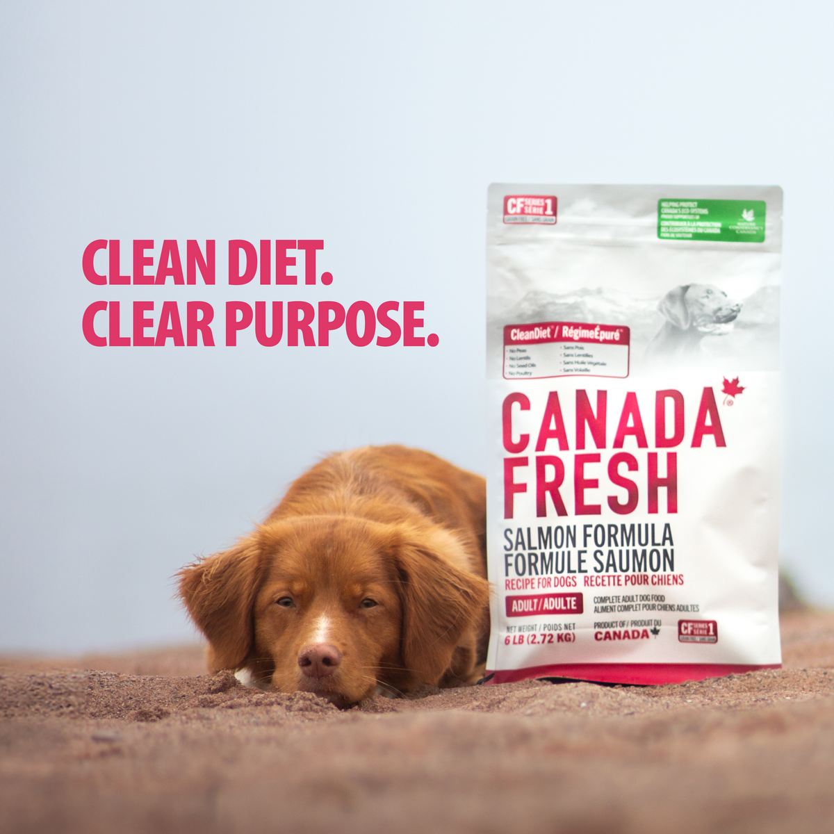 CF1 CANADA FRESH - DOG -  SALMON