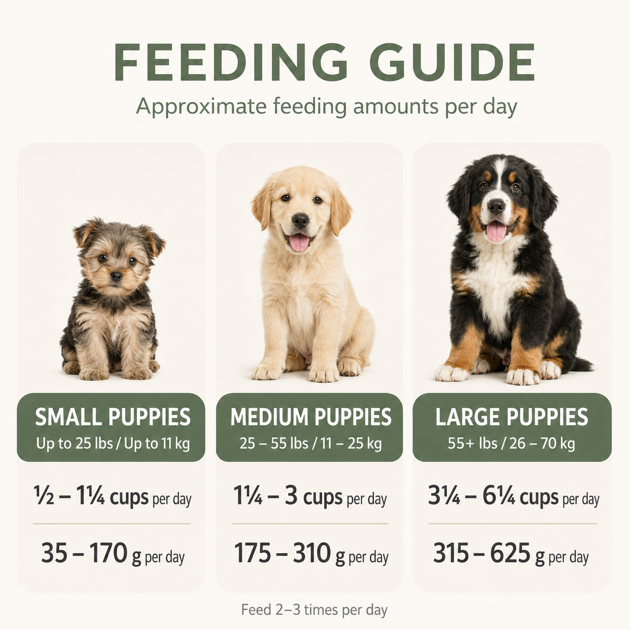 Tripe Dry Puppy Formula Feeding Guide