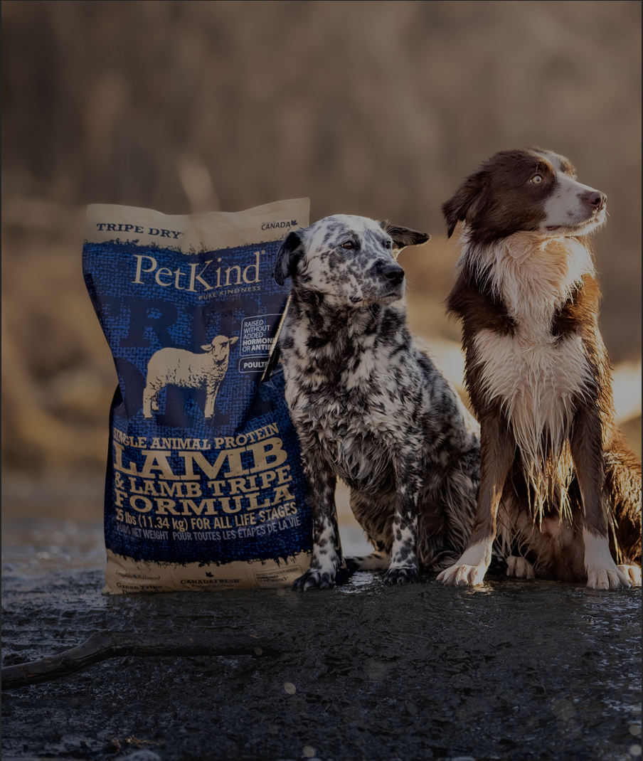 Pet kind tripe dry hotsell