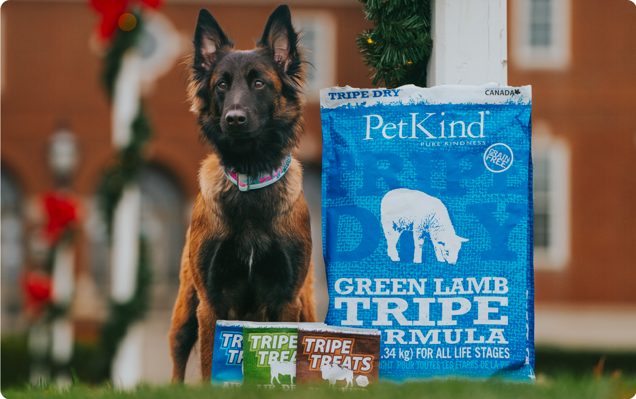 petkind tripe