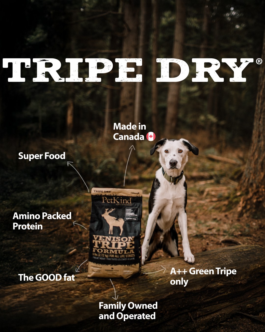 Tripe Dry – Venison Tripe Formula