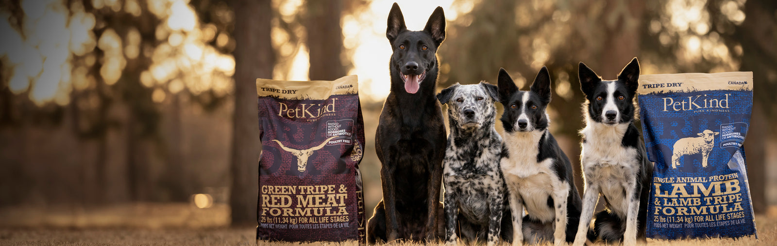 PetKind Pet Products