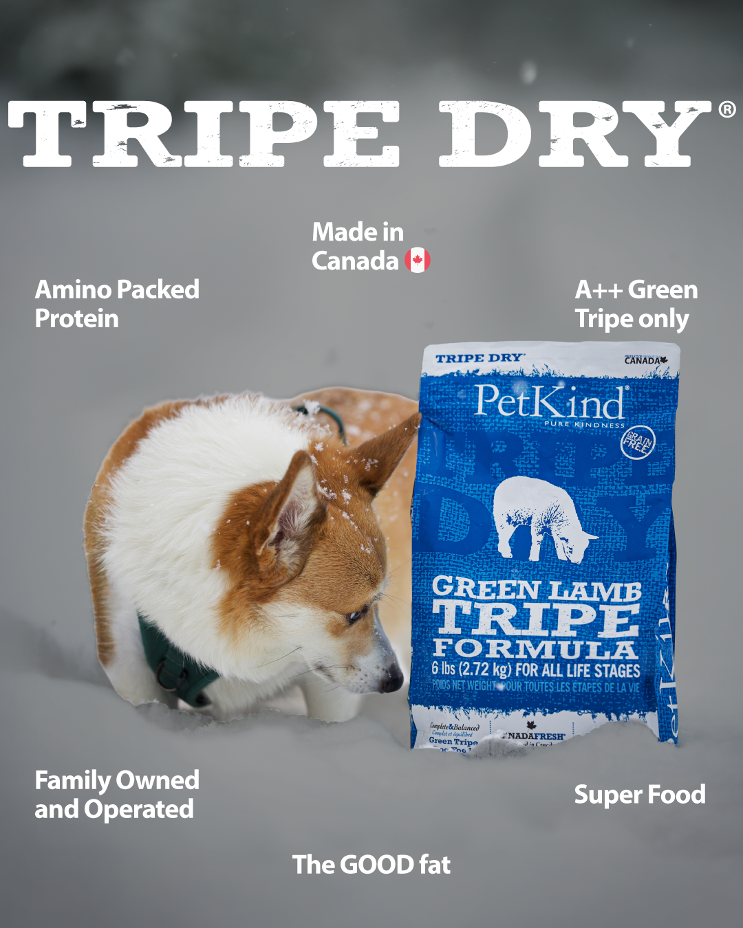 Tripe Dry – Green Lamb Tripe Formula
