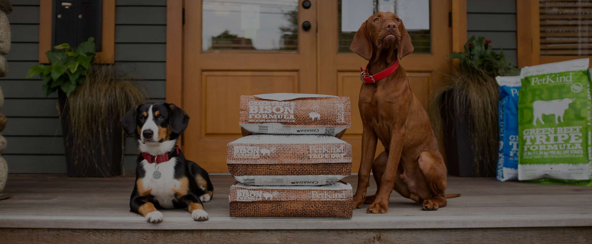 Vizsla and Entlebucher Mountain Dog sitting on a porch/deck with stacked bags of Tripe Dry Bison Formula.