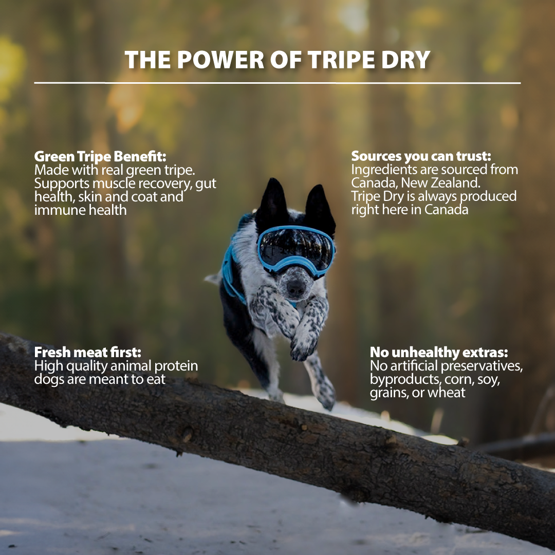 Tripe Dry – Green Lamb Tripe Formula