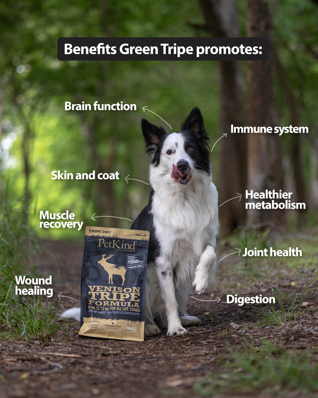 Tripe Dry – Venison Tripe Formula