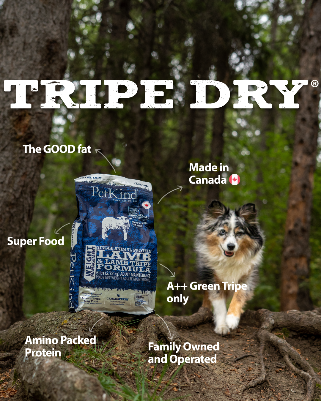 Tripe Dry – Single Animal Protein Lamb & Lamb Tripe Formula Weight Management